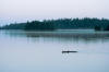 Lake of the Woods Ontario Canada